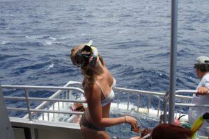 North Shore Shark Adventures - Backpackers Hawaii